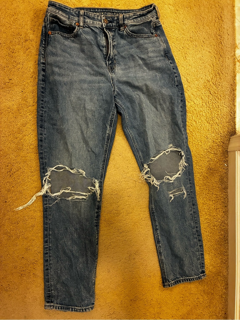 American Eagle Outfitters Women’s Distressed Blue Skinny Jeans